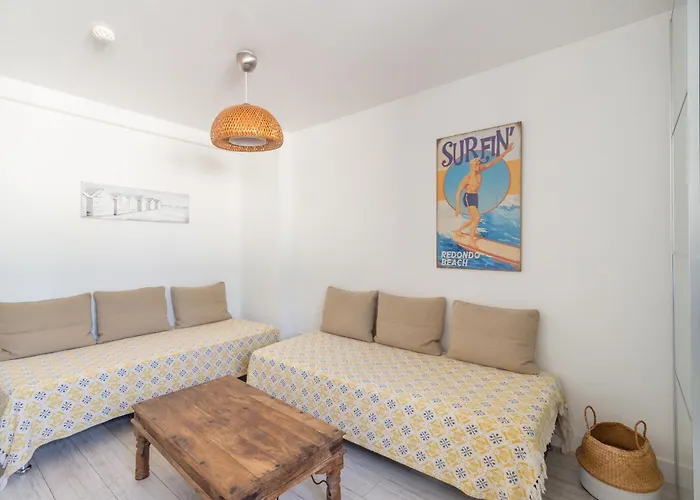 Surf 300m De La Appartement